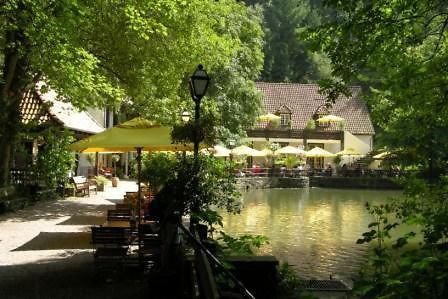 Waldhotel Silbermuehle Хорн-Бад-Майнберг Экстерьер фото