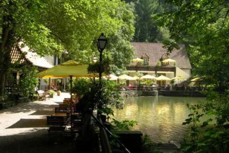 Waldhotel Silbermuehle Хорн-Бад-Майнберг Экстерьер фото
